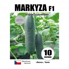 Огірки Маркіза F1 (Markyza F1)